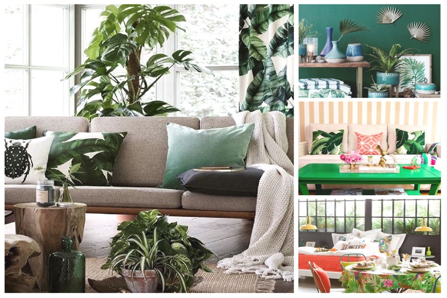 7 Ways to Turn Your Apartment into a Tropical Paradise | bti blog