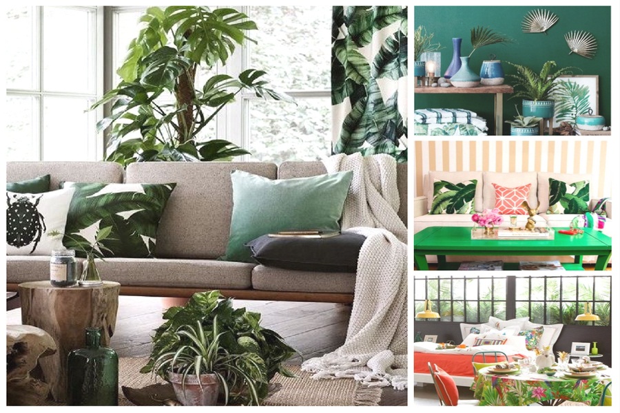 7 ways to turn apartment into tropical paradise 458905