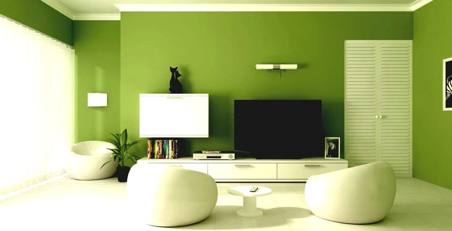 apartment decor with green color 233394