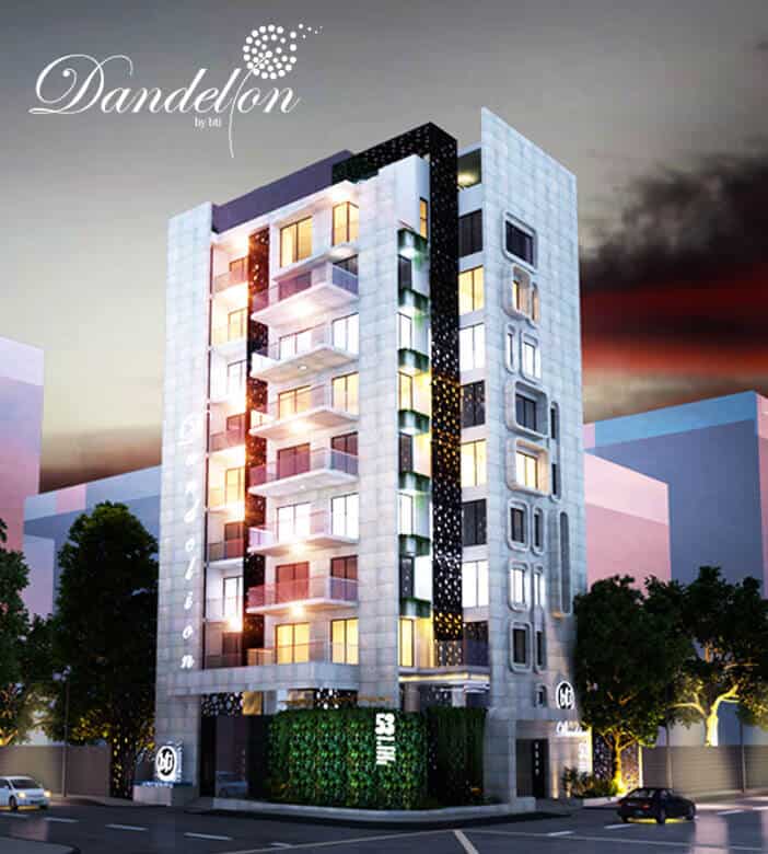 dandelion 153701