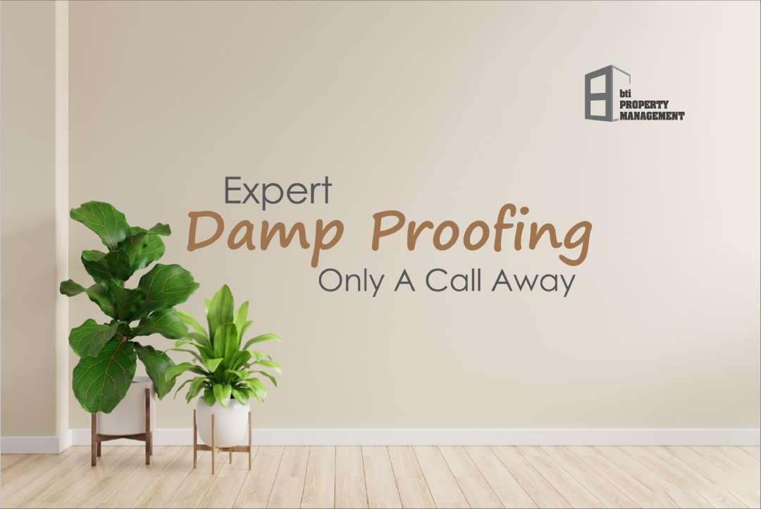 expert damp proofing only a call away 858154