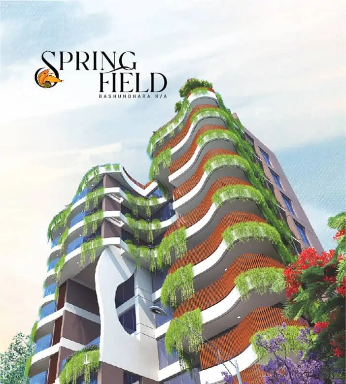 spring field 404907